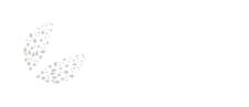 L&P Die Möbelmacher Frankenburg Logo weiß